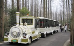 無軌小火車多少錢一輛？掙錢嗎？