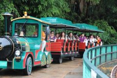 淺談景區觀光小火車的市場前景