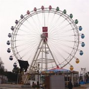 自控飛機在運行時出現緊急情況后怎么處理？