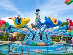 轉馬的異響使客人滿意度不高，如何化解